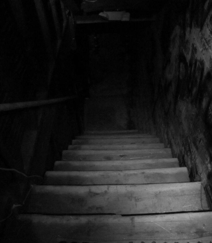 "Где тут включается свет?" (13.02.2026)