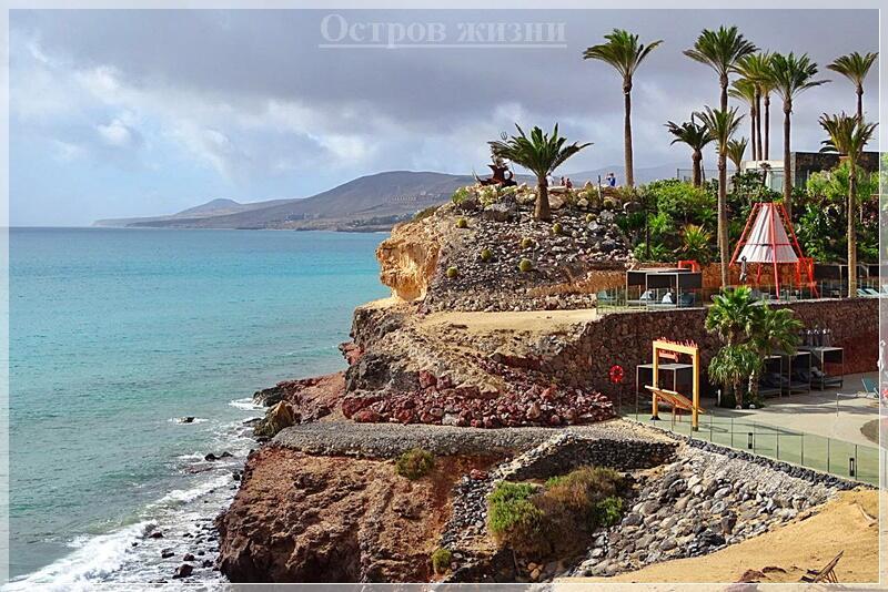 На тихом берегу. Остров жизни