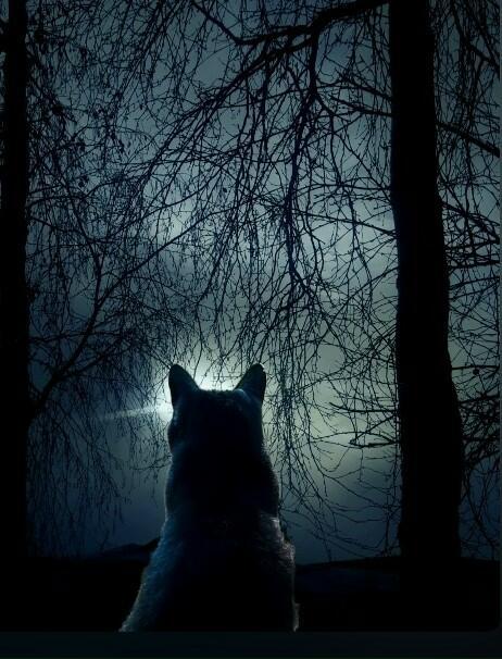 Мне нечего скрывать...