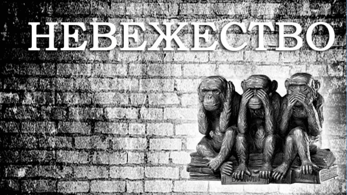 Невежество 