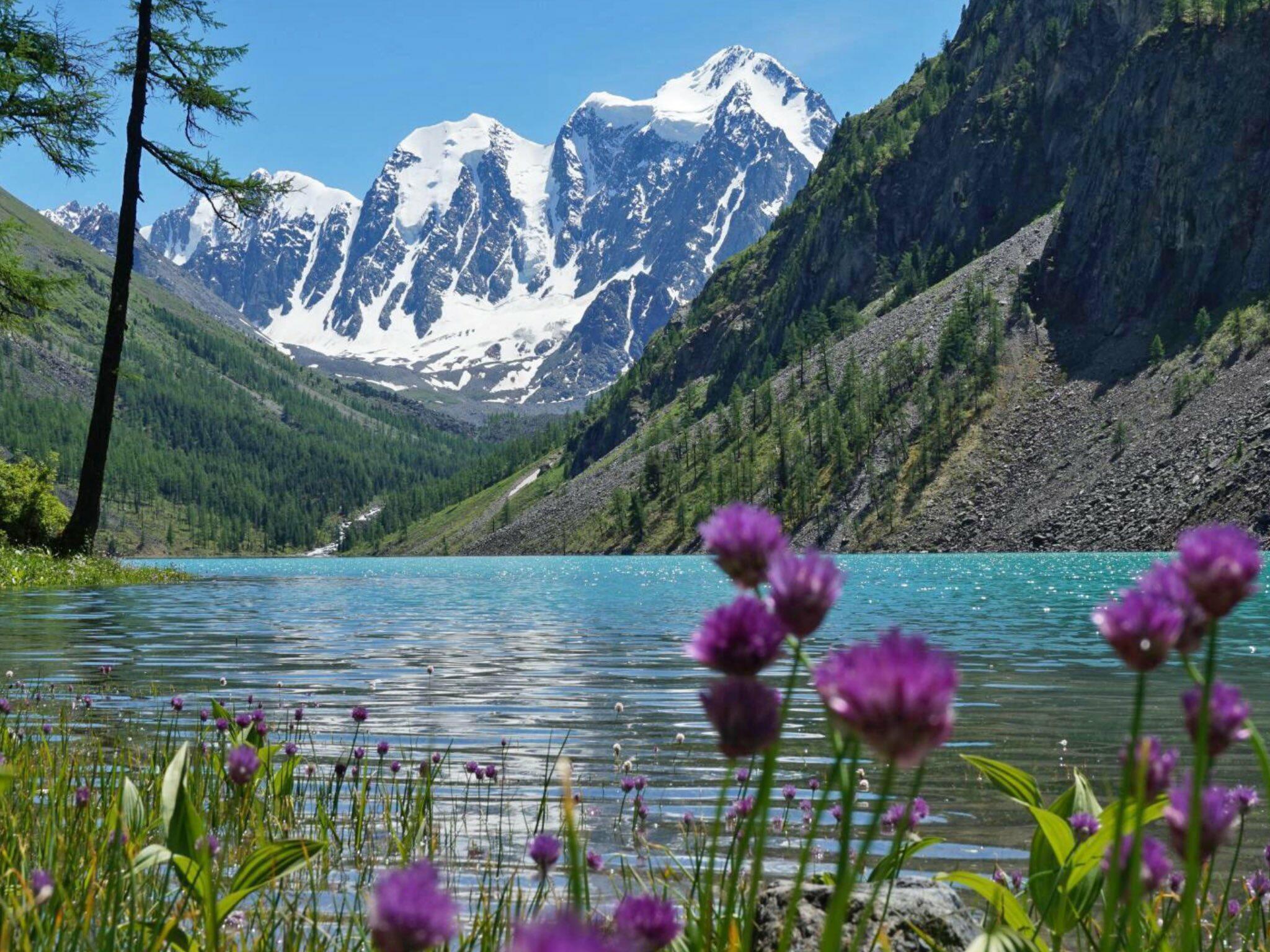 Почему природа уникальна. Шавлинское озеро Алтай. Шавлинское озеро Горно Алтайск. Озеро Чейбеккель Алтай. Мертвое озеро горный Алтай.