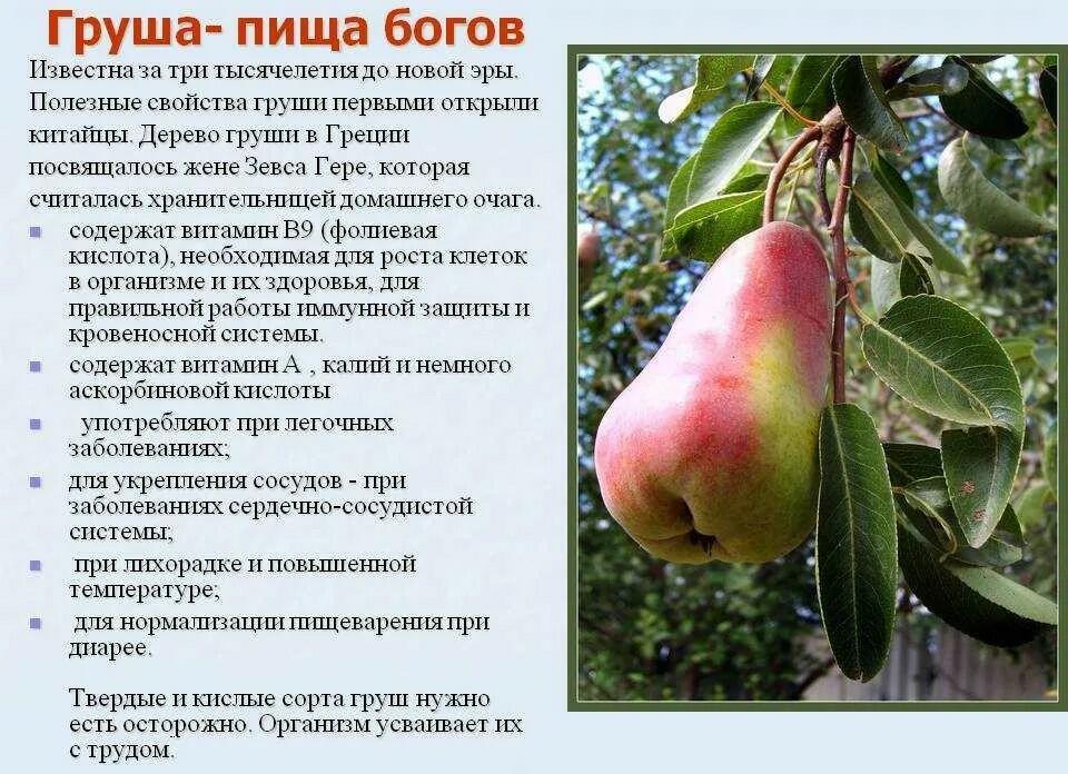 Влюбленное сердце