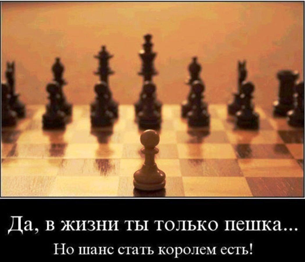 Шагая прямо - редко мы шахуем