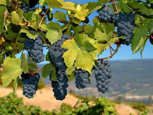 Детство, детство-счастливое время