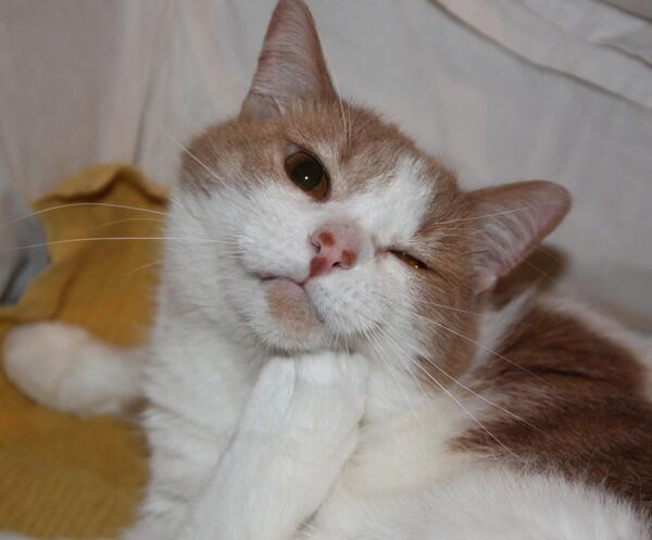 реквием по мечте