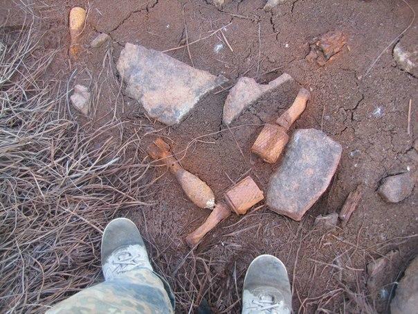 По мшанникам...