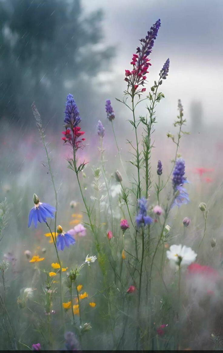 Живёт во мне воспоминанье.