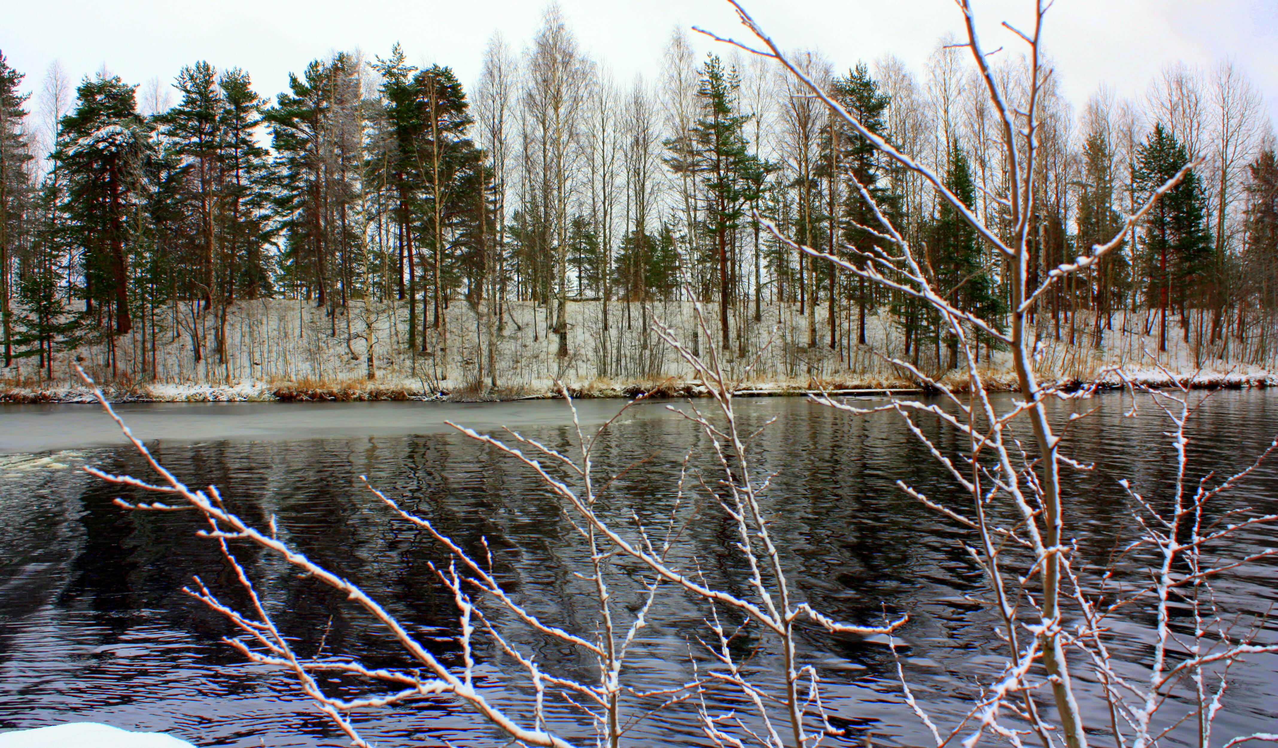 Весь день летят снежинки