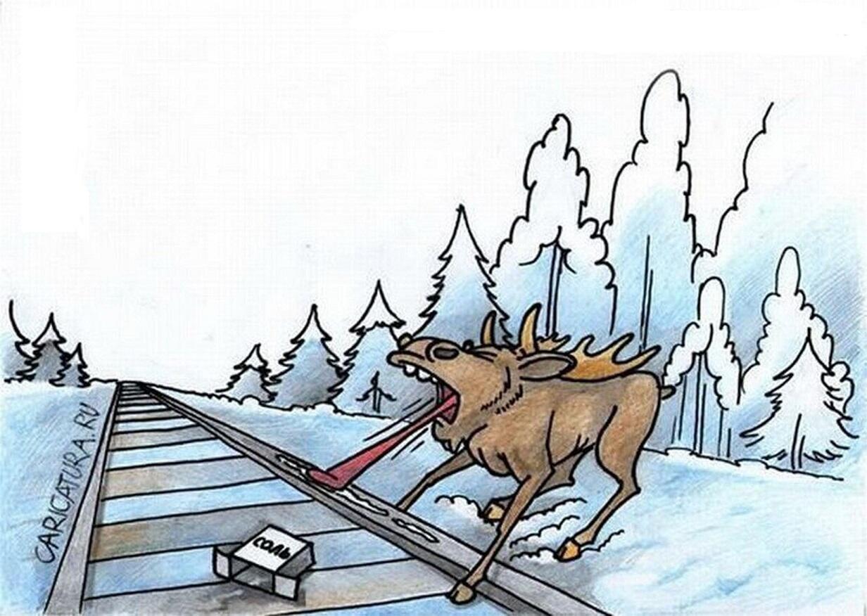 Карикатуры про охотников на лося