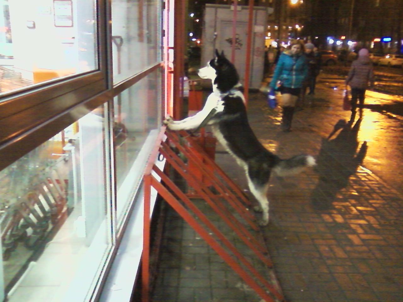 Названия регионов на карте мира в будущем