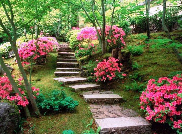 путь к гармонии