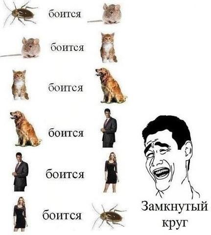 На злобу дня