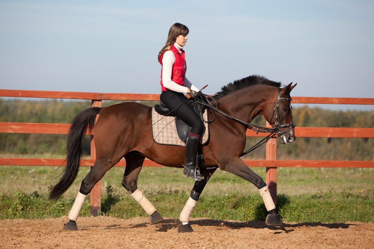 ОТВЕТ НА ВОПРОС: — КАК МОИ ДЕЛА?!