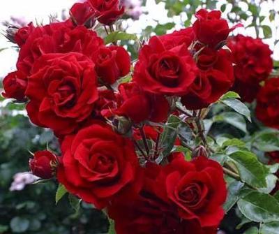 Ты знаешь...