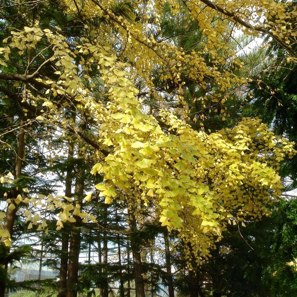 Было слово ли в  самом начале...