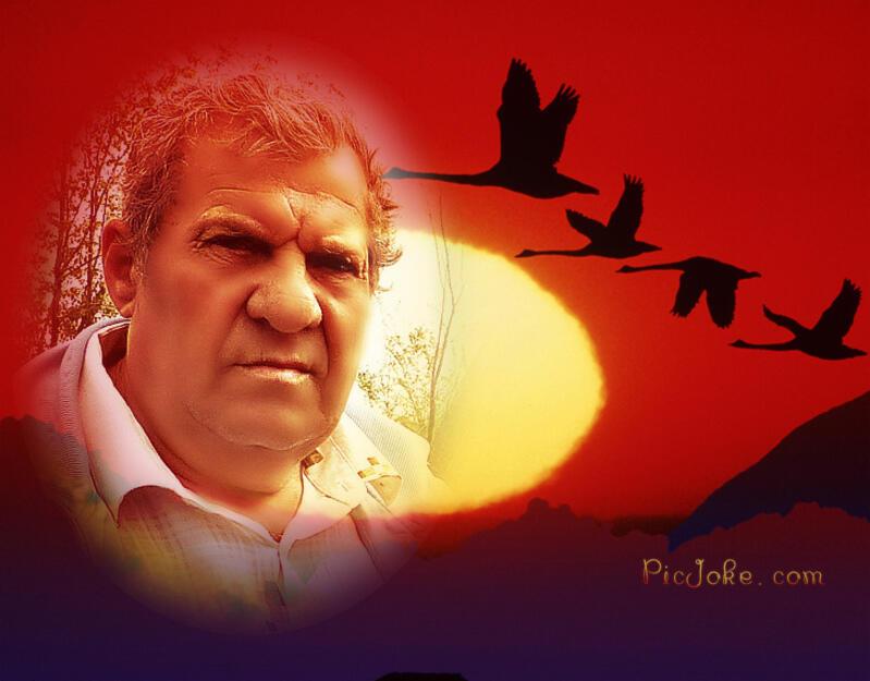 Твой образ храню во всех фототеках.