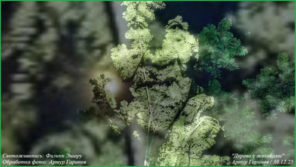 Дерево с желобами