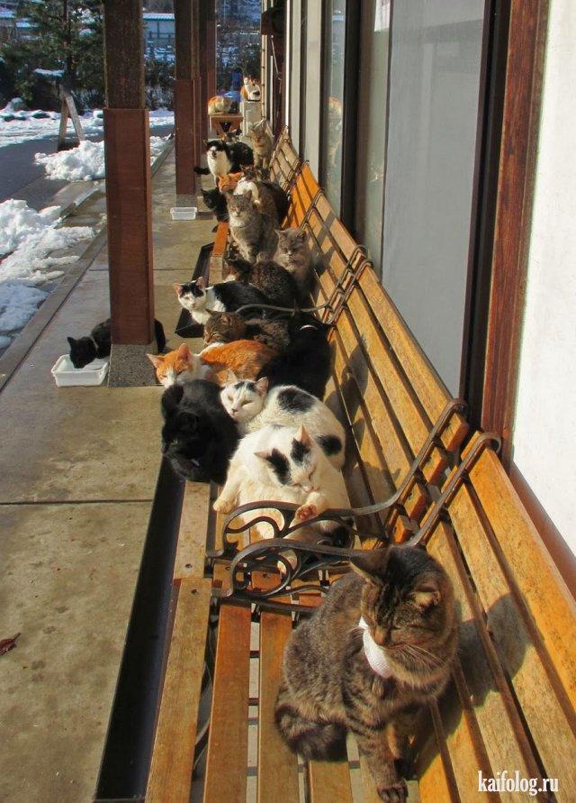 ОХ, УЖ ЭТИ СНЕГОПАДЫ - (с улыбкой)