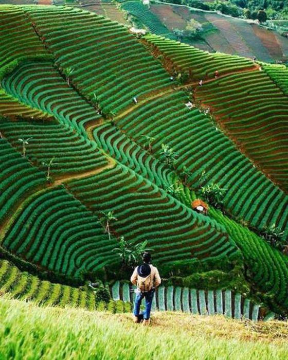 ВЕРНУТЬ НАСТРОЕНИЕ