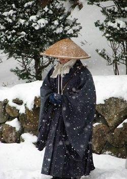 мудрость и снегопад