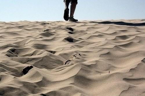 Смеялось солнце