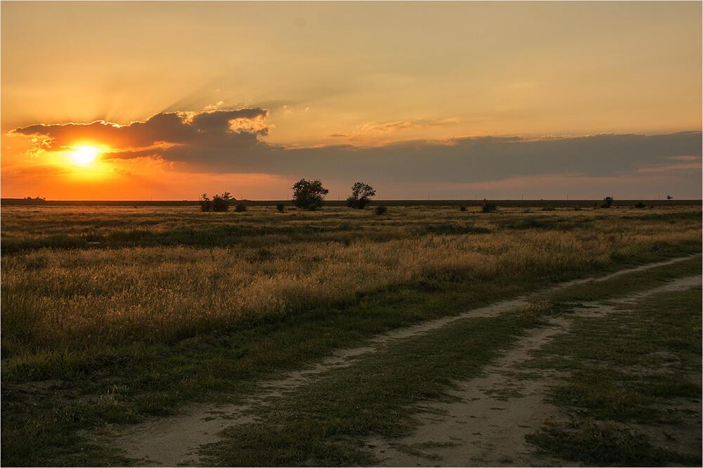 Здесь, в степи, на воле