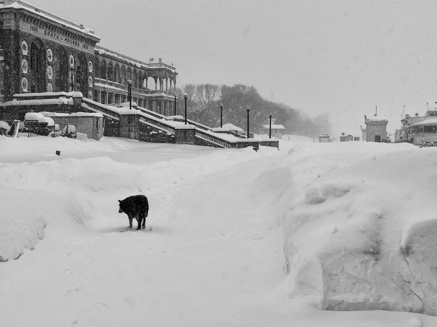 Lied aus dem Schlaf 7 Бесприютность