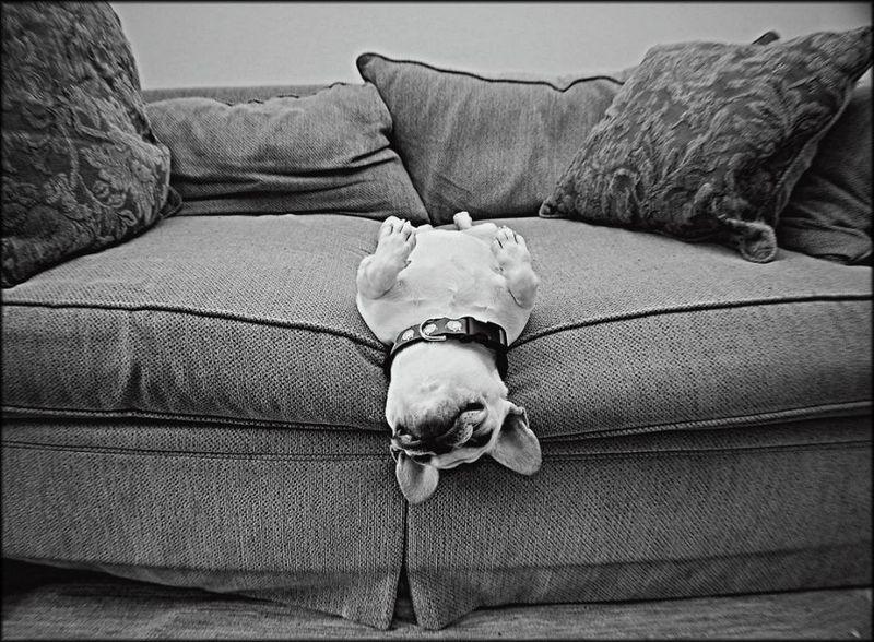 Н.Шапошникова  Афоризмы