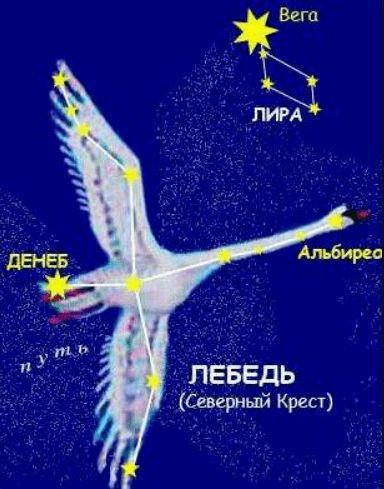 Созвездие-Лебедь