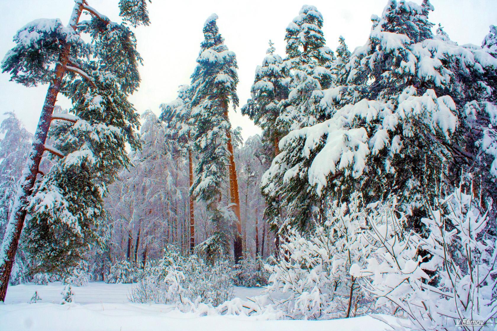 Снегопад...Словопад....Невпопад...