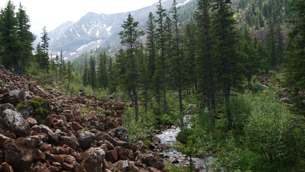 ТАЁЖНЫЙ ЗАВТРАК