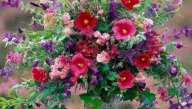 АЛЕНЬКИЙ  ЦВЕТОЧЕК