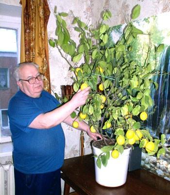 Зимой птицы не поют