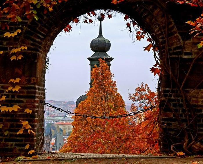 Слишком много вариантов