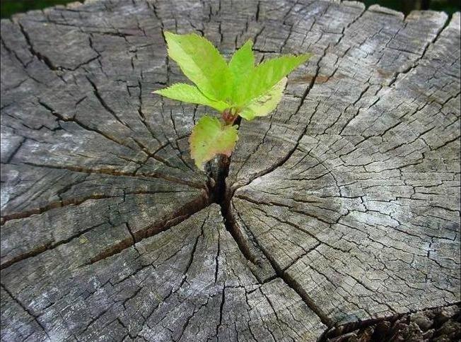 Мой диагноз