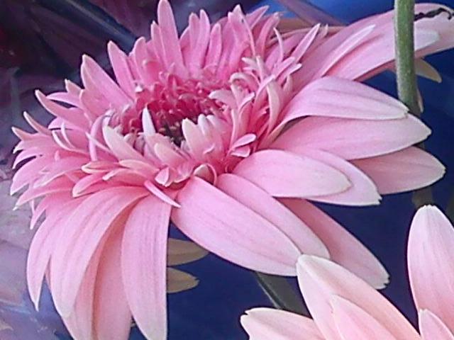 Притчи, глава 9 - перевод с иврита