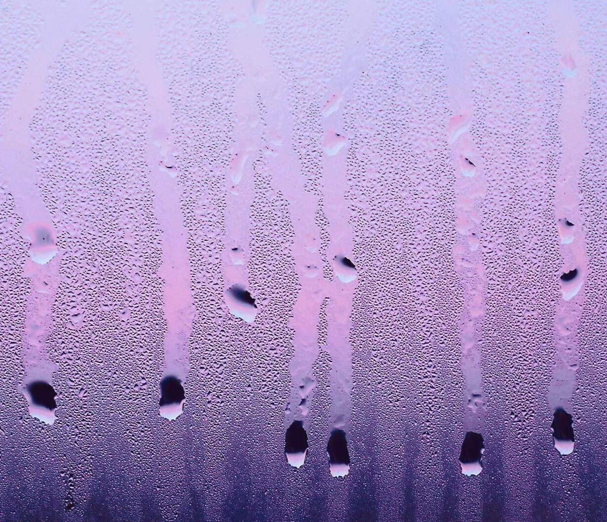 Нежность утра.