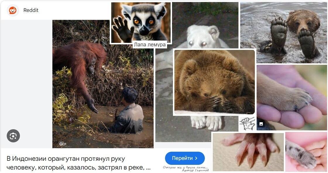 Отчего же у друга лапы...