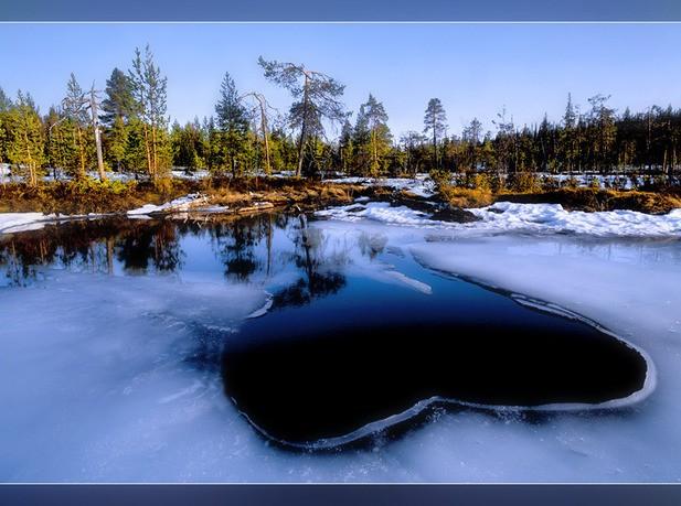 Обыкновенное счастье