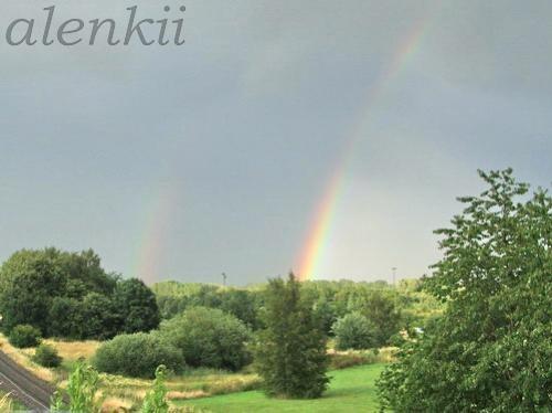 ПЕСНЯ ДОЖДЯ