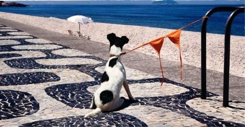 Искусство обольщения...