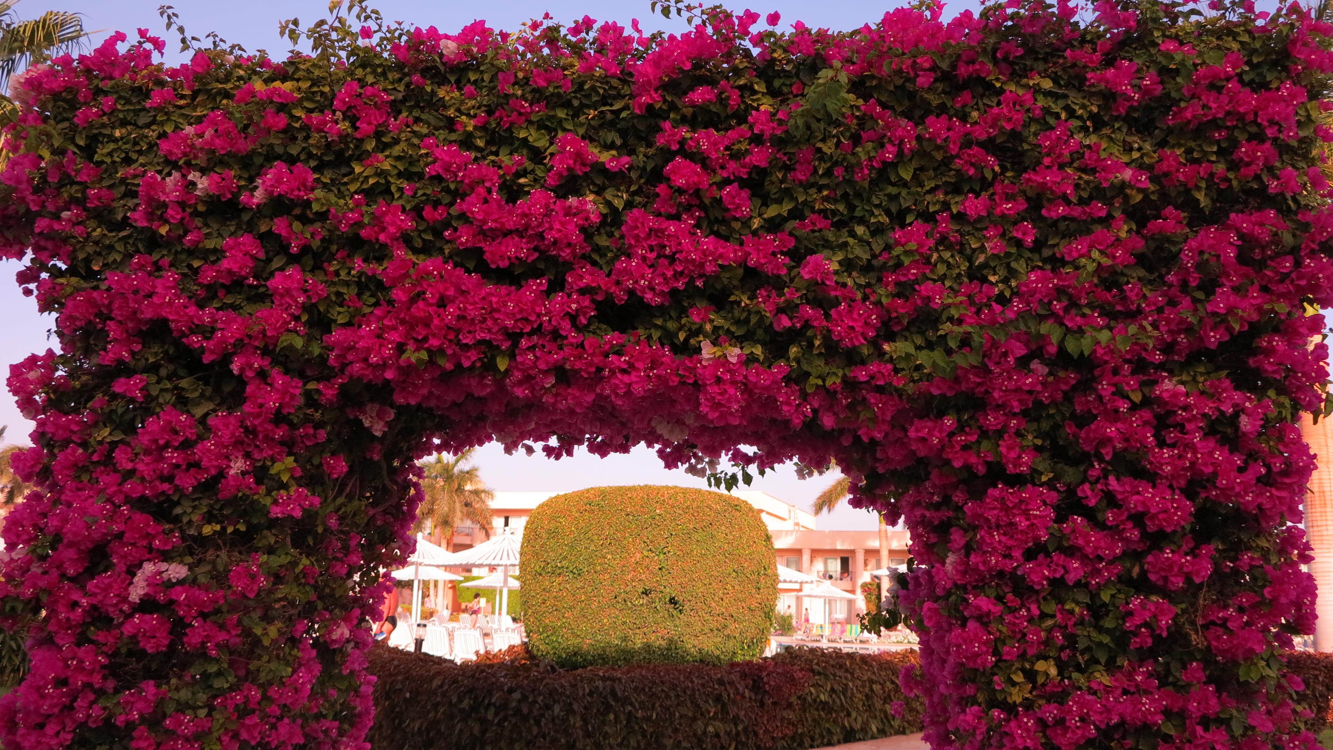 О пользе парткомиссий для туристов