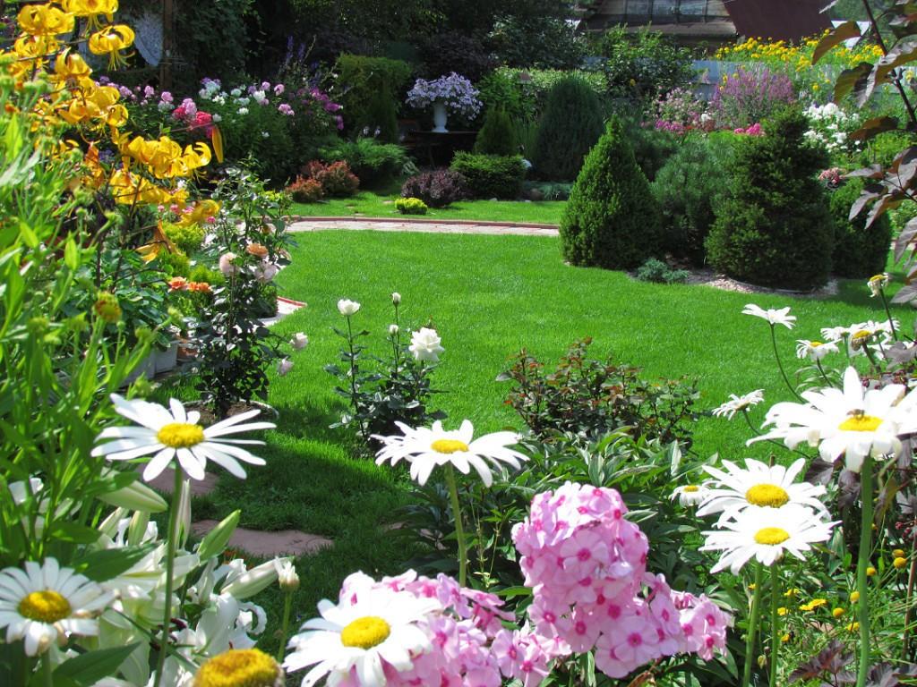 Любителям преферанса