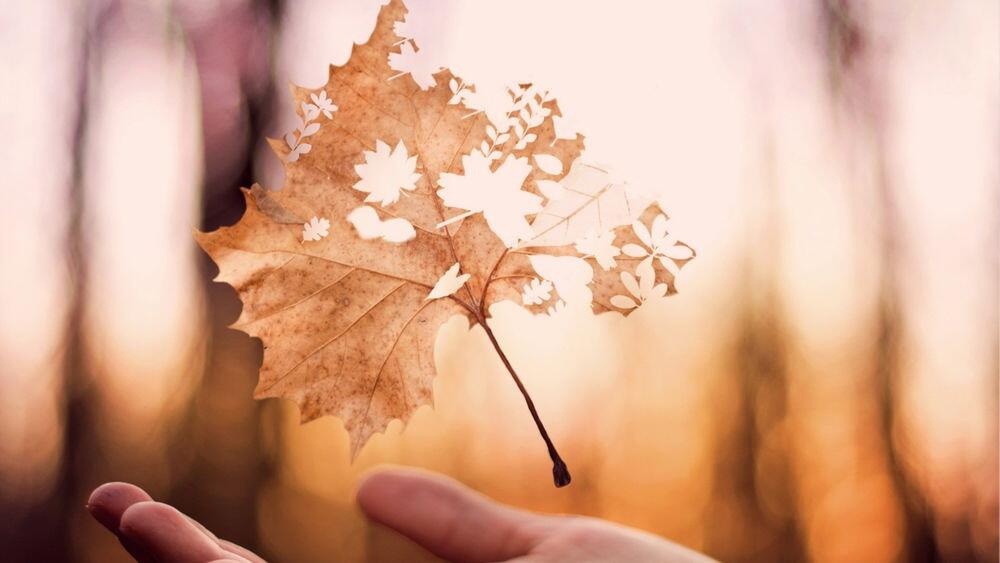 "Повстречав меня вчера…" (10.10.2021)