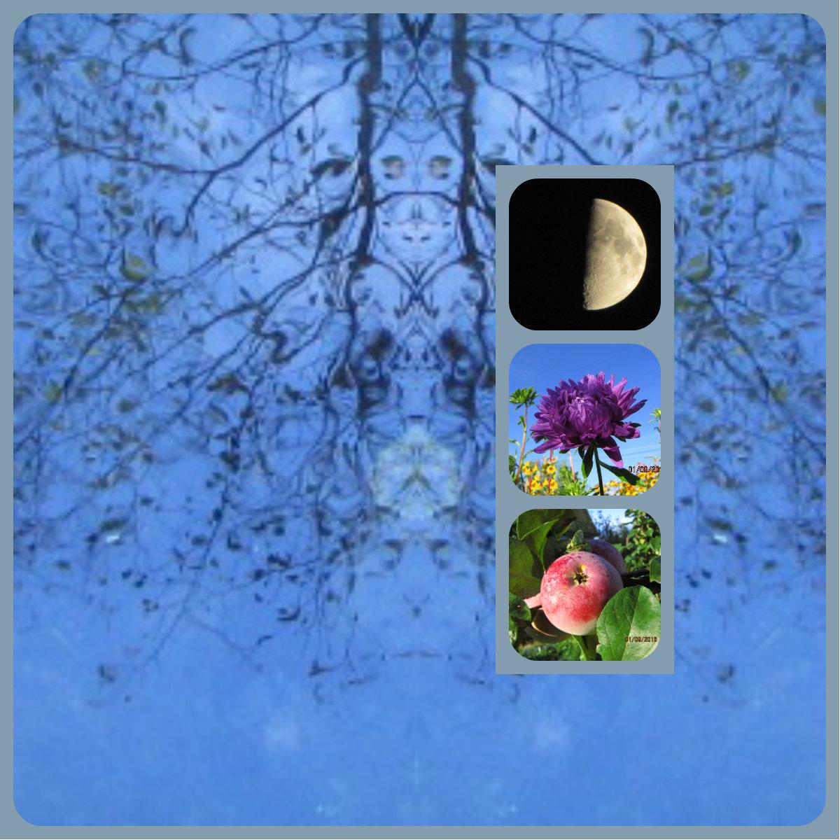 О СМЫСЛЕ ЖИЗНИ… (опять опоздал на конкурс)