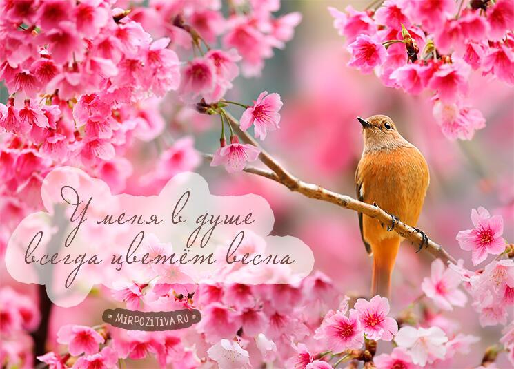 ОСКОЛКИ ЗИМ