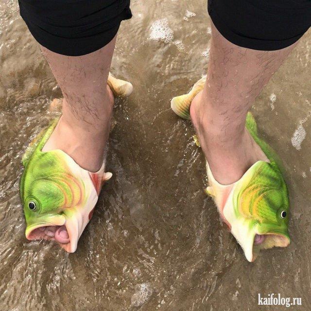 ЛОВЛЯ НА ЖИВЦА