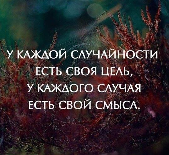 НЕСЛУЧАЙНОСТЬ