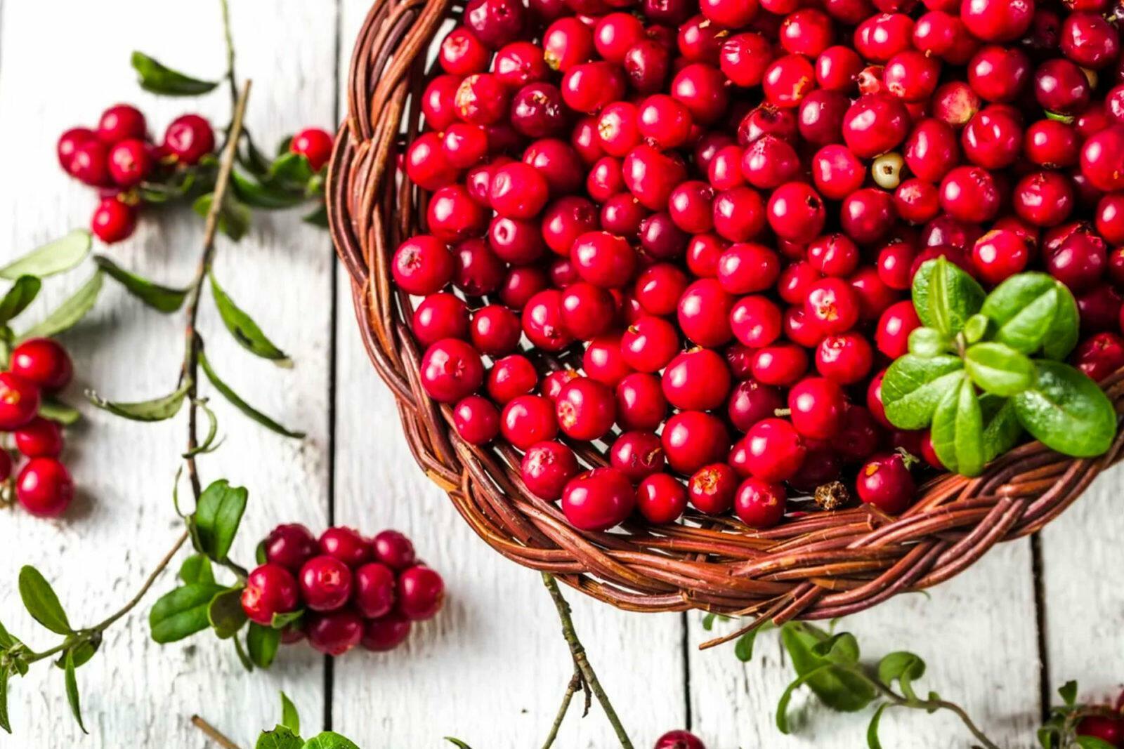 5 января - День маленьких историй