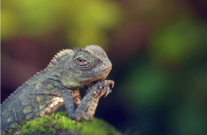 Грубым словом, что ножом по плоти